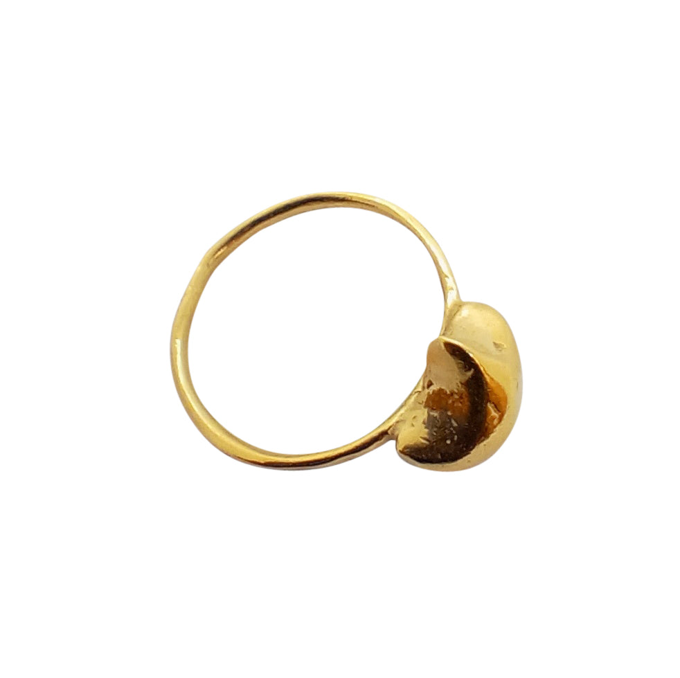 Osaka Ring